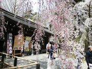 ̂肳̊pي׍H`ق̓eʐ^1