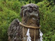 YanwenlïɉꑽC_Ђ̓eʐ^3