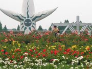 kiyohiko85jp̖LOE{뉀̓eʐ^1