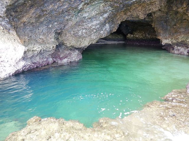 �̓��A_JellyFish