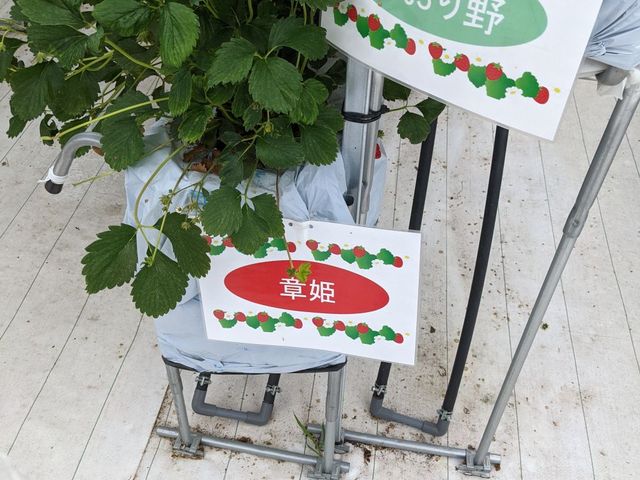 �i��ŔB�����Y��_���ЗY�_��