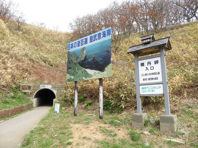 �g���l�������ƈē��Ŕ�_�����ӊC��