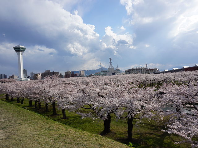 �y�肩��A���ƌܗŊs�^���[�𒭂߂��Ƃ���ł�_�ܗŊs����