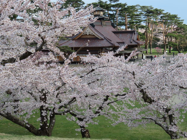 ���Ɣ��ٕ�s��_�ܗŊs����