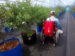 @P̑͌~Ru[x[艀ւ̓eʐ^4