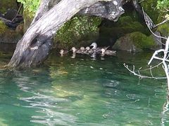 䂳̃BgJ̓]ւ̓eʐ^1