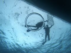 ܂񂳂̐̓A _CrOVbvaւ̓eʐ^1