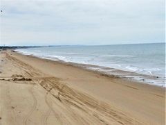 ÐhF̂̂ƗRCւ̓eʐ^2