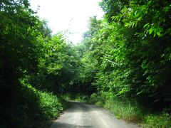 mick����񂳂�̍����������ւ̓��e�ʐ^1