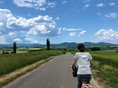 TCNOcA[/Xm[V[cA[т̃KCh̎ʐ^1