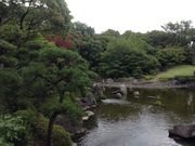 Ё[񂳂̉ԔLO뉀̓eʐ^2