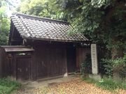 Ё[񂳂̋剮~̓eʐ^2