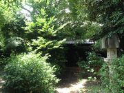 Ё[񂳂̋剮~̓eʐ^3