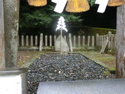 ܂̐򉪈ꌾ_Ђ̓eʐ^1