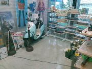 ς炳̗mCmXgnEXm̓eʐ^1