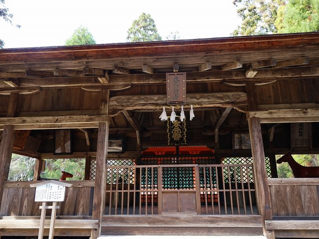 �q�a�B_�匳�_��