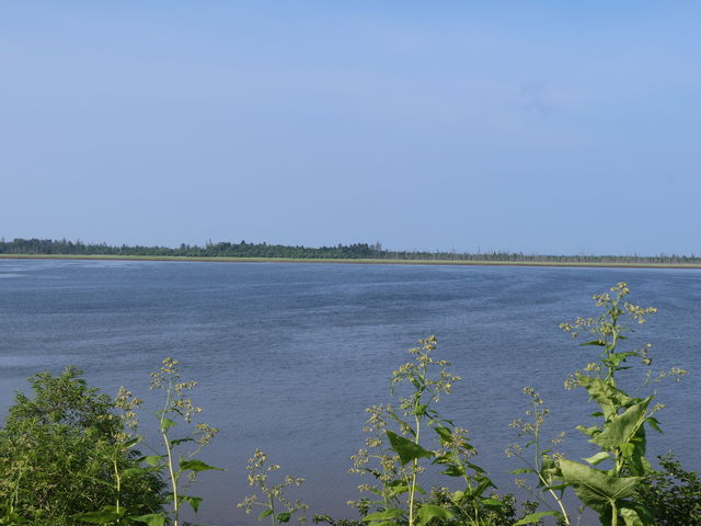 �L�X�Ƃ�����_���@��