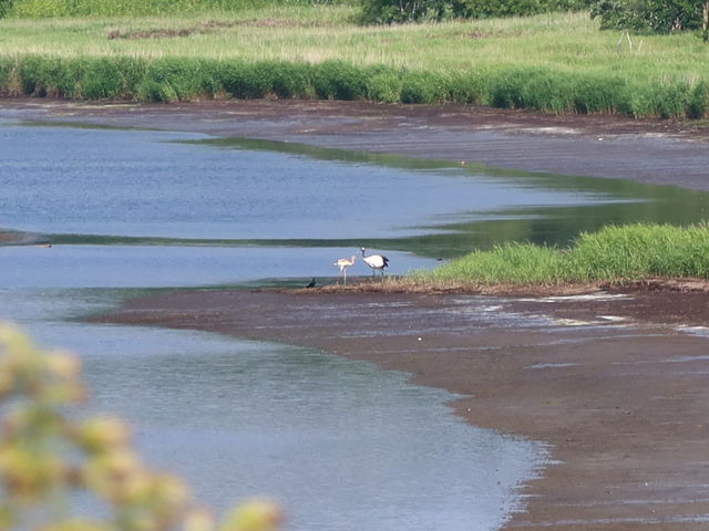 �^���`���E�̐e�q_���@��