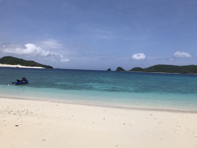 ��������I�P���}�u���[�ō��I_�����^���V���b�v���