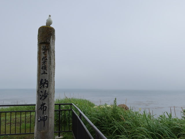 �J���������o�}��_�[���z��