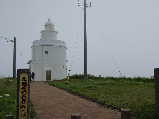 ���̓���_�[���z��