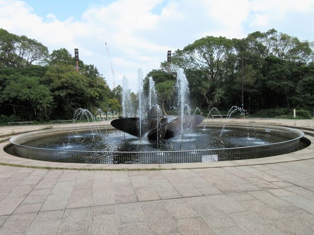 2017�N11���������B�e�j�u�|�[�g�A�C�����h�v����_�|�[�g�A�C�����h