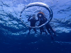 [񂳂̃V[}bNX_CrONuւ̓eʐ^1