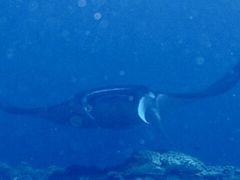 񂿂񂳂̃ANAJ[Yւ̓eʐ^1