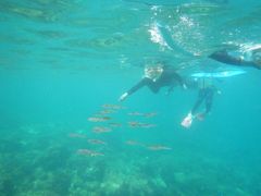 NaõwCY_Cuւ̓eʐ^1