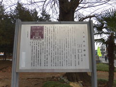 馬場っちさんの大井氷川神社の投稿写真1