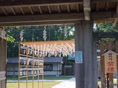 yosshyさんの金刀比羅神社（北海道根室市）の投稿写真3