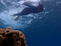 񂳂̃RY~bNA[Xւ̓eʐ^1