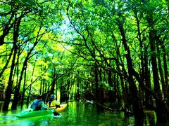 炳炳̐Ί_GRcA[VbvI[pւ̓eʐ^1