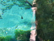 yosshy̐_̎qr̓eʐ^3