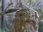 Yanwenlȋ匳_Ђ̓eʐ^5