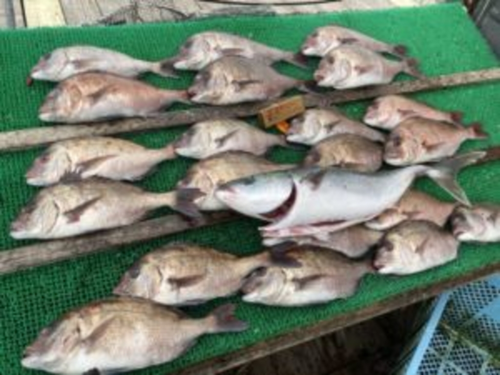 大阪の釣り 釣り堀 渓流釣り 海釣り 釣り船等 ランキングtop10 じゃらんnet 大阪の釣り 釣り堀 渓流釣り 海釣り 釣り船等 ランキングtop10 じゃらんnet