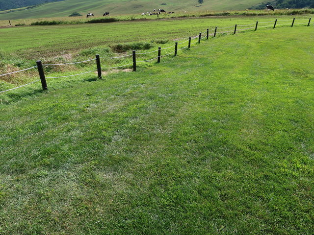 �Ő��̓t�J�t�J_�i�C�^�C�����q��i�C�^�C�e���X