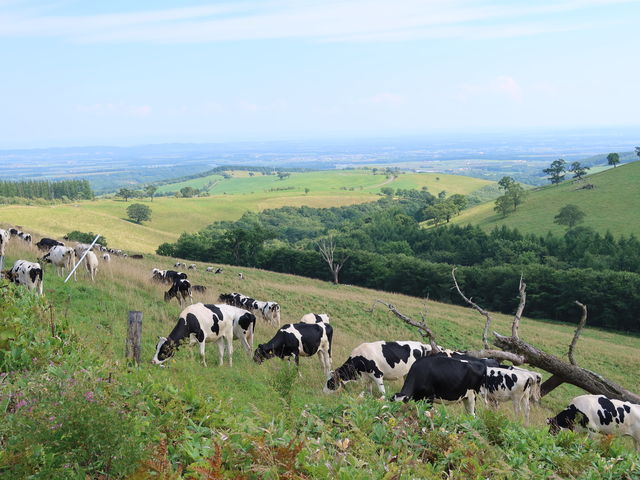 �e���X�֍s���r���ŋ������_�i�C�^�C�����q��i�C�^�C�e���X