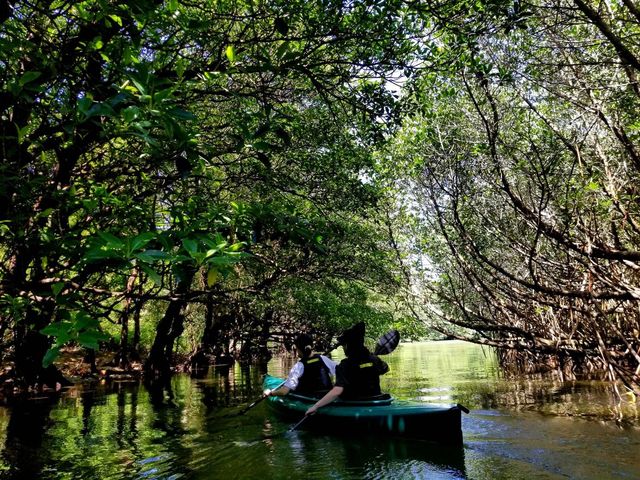 カヤックツアー_OHCUS石垣島