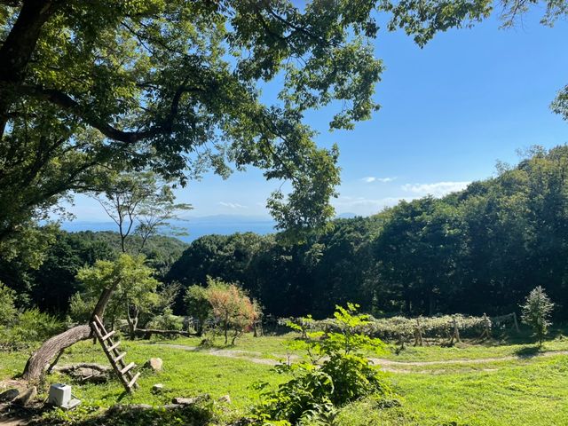 �i�F_���܁[�Ƃ炢�Ӕ_���@KITSUKI�@