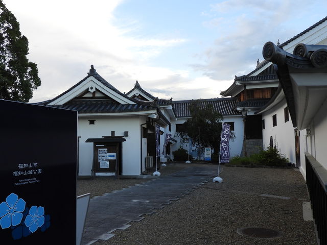 zin̕mRsLOpق̓eʐ^2