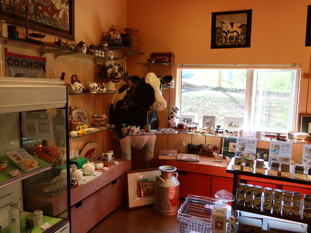 X͂͋C_CREAM TERRACE