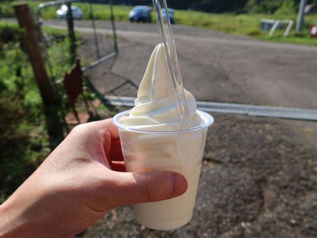 yosshyCREAM TERRACE̓eʐ^4