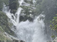 �Ђ��񂳂�̌��A��̑�ւ̓��e�ʐ^1