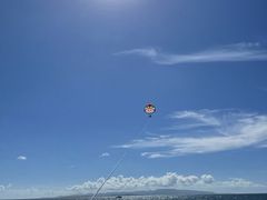 ݂񂳂̐Ί_u[V[T[ւ̓eʐ^1