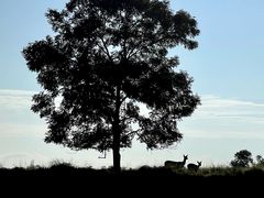 HoreĨJk[VbvqCւ̓eʐ^1