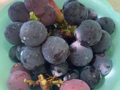 �䂫����̂܂邢��Ԃǂ����ւ̓��e�ʐ^1