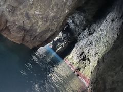 肿񂳂̃h[N[WOւ̓eʐ^1