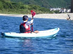 XJỸXm[s[N̉wւ̓eʐ^2