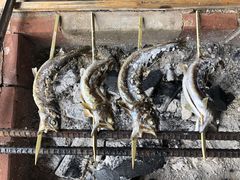 �V���p�[�N�����h�̎ʐ^1